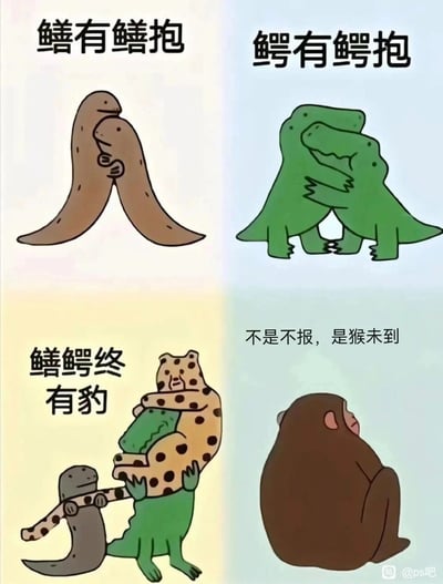这是一幅四格谐音梗卡通漫画，改编自传统俗语“善恶有报，不是不报，时候未到”：左上格是两条鳝鱼相拥，配文“鳝有鳝抱”，谐音“善有善报”；右上格是两只鳄鱼相拥，配文“鳄有鳄抱”，谐音“恶有恶报”；左下格是鳝鱼拉住豹子，豹子抱着鳄鱼，三者叠在一起，配文“鳝鳄终有豹”，谐音“善恶终有报”；右下格是一只猴子背对镜头坐着，配文“不是不报，是猴未到”，谐音“不是不报，时候未到”。整体用动物形象和谐音文字，将传统俗语趣味化，风格搞笑诙谐。
