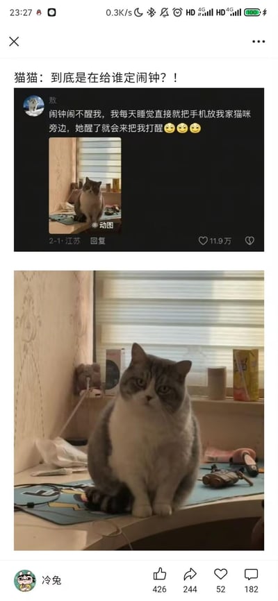 这是一组来自微博的趣味内容截图，顶部是江苏用户“敖”的分享：自己被闹钟叫不醒，于是把手机放在猫咪旁边，靠猫咪醒来后叫醒自己，还配上了自家猫咪的动图；下方是动图的静态截图，灰白相间的猫咪坐在窗边台面上，表情无奈又生无可恋，搭配顶部文案“猫猫：到底是在给谁家闹钟？！”，精准戳中猫咪的内心吐槽，充满生活搞笑趣味，展现了铲屎官和宠物的有趣日常，原动态获得11.9万点赞。