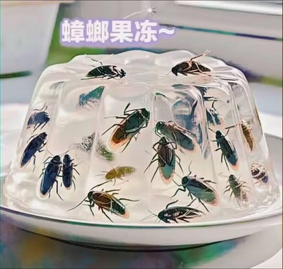 这是一张AI生成的整蛊风格图像，主体是一个透明的果冻造型物体，内部“包裹”着大量形态逼真的蟑螂，顶部配有文字“蟑螂果冻~”。图像利用人们对蟑螂的天然厌恶感，制造出惊悚又搞笑的视觉恶作剧效果，视觉冲击力强，主打猎奇恶搞的趣味感，适合用来整蛊好友、在社交平台制造趣味话题。