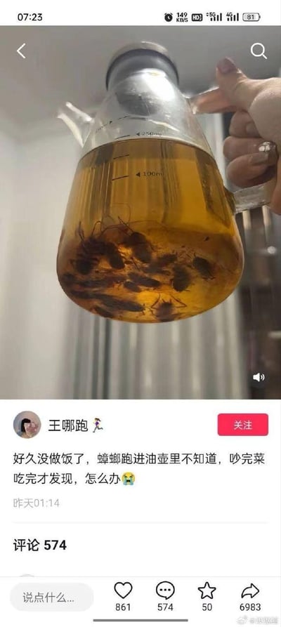 这是一张来自微博平台的用户动态截图，发布者“王哪跑”分享了自己的糟心经历：因许久未做饭，未发现家中蟑螂跑进了玻璃油壶，使用这壶油炒完菜、吃完饭后才察觉油壶底部泡着多只蟑螂。动态配图为被手握着的玻璃油壶，壶内的食用油中清晰可见多只蟑螂的尸体；配文带着惊恐的表情向网友求助该如何处理。截图还展示了这条动态的互动数据：861个点赞、574条评论、50个收藏、6983次转发，评论区已有574条留言，引发了网友的关注。