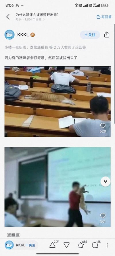 这是知乎平台上针对「为什么蹭课会被老师赶出来？」问题的趣味回答。答主用两张真实课堂照片搭配文案玩梗：第一张图里一只橘猫慵懒地趴在大学教室的课桌上，仿佛是蹭课的学生在睡觉；第二张图中一位穿红色上衣的老师正拎着这只橘猫，将它带出教室。答主的回答文案为「因为有的蹭课者会打呼噜，然后就被拎出去了」，把猫咪调侃成蹭课打呼噜的学生，用真实场景制造出荒诞又搞笑的趣味效果，该回答获得了2万用户的赞同。