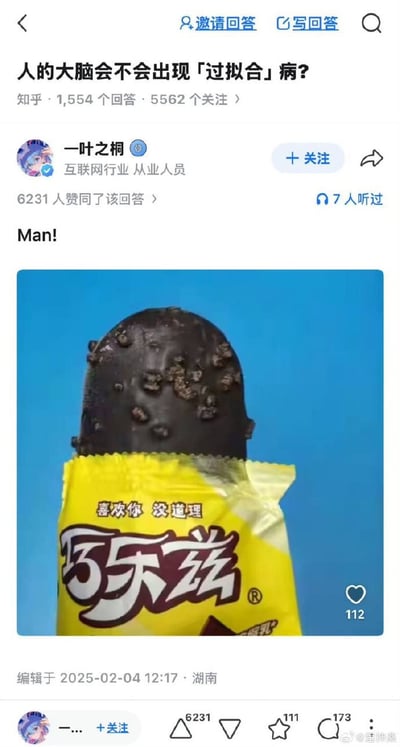 这是一张知乎平台的问答页面截图，页面顶部显示提问为「人的大脑会不会出现「过拟合」病？」，该问题共有1554个回答、5562名用户关注。回答者是认证为互联网行业从业人员的用户「一叶之桐」，该回答获得6231个赞同，回答内容仅包含感叹词「Man!」以及一张巧乐兹冰淇淋的实拍图：图中巧乐兹撕开了黄色包装，露出的巧克力脆皮表面布满了凸起的脆粒，巧妙利用「过拟合」与「过粒合（表面有过多颗粒的巧乐兹）」的谐音梗回应提问，趣味十足。截图底部标注该回答编辑于2025年2月4日12:17，发布地为湖南。