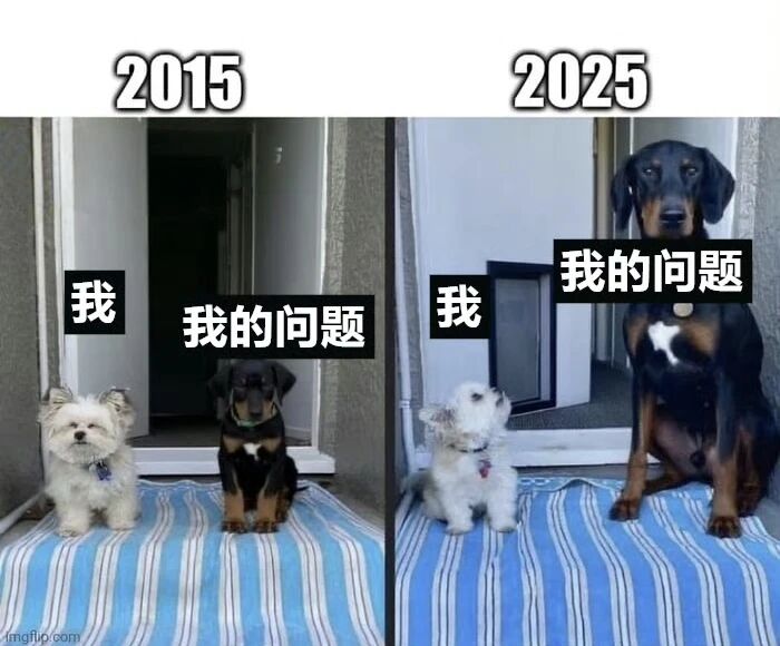 白色小狗