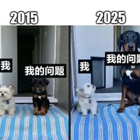 白色小狗