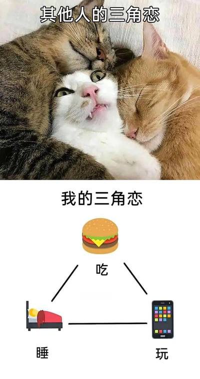 暂无描述