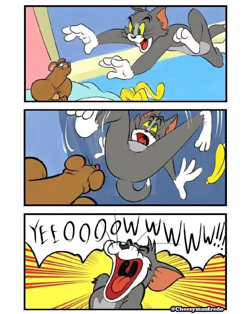 猫和老鼠