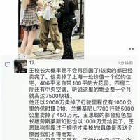 王思聪缩略图