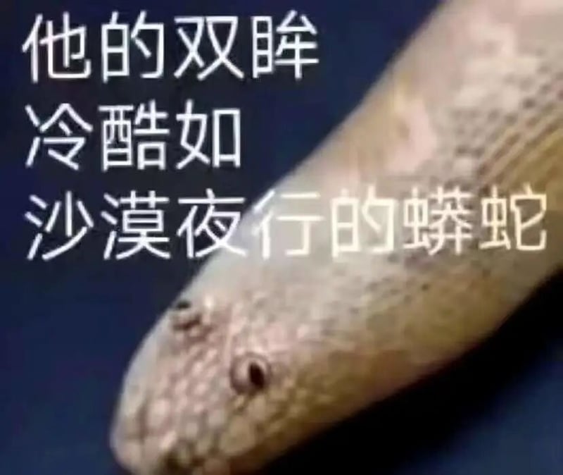 蟒蛇