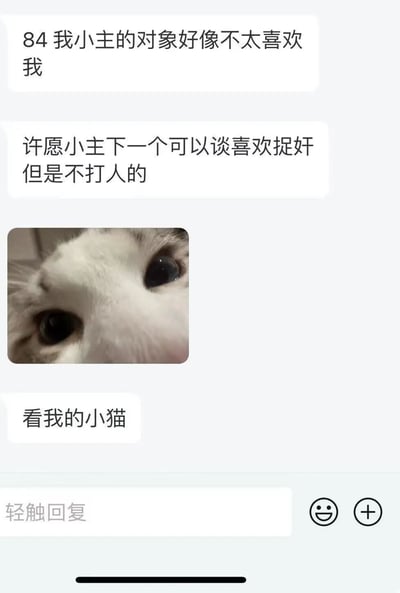 这是一张社交媒体截图，展示了一段有趣的对话和一张猫咪照片。对话以猫咪的口吻抱怨主人的对象不喜欢自己，并许愿主人的下一个对象喜欢捉奸但不打人，最后主人附上了一张猫咪的近照。猫咪照片是特写镜头，展示了一只白色猫咪的眼睛和鼻子，表情看起来无辜又可爱。