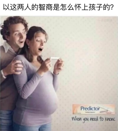 这是一张充满荒诞搞笑感的迷因图片，画面中一位腹部明显隆起、已经处于怀孕中后期的女性，正双手拿着验孕棒，脸上露出惊讶的神情；她的伴侣从背后环抱住她，双手搭在她的肩膀上，同样是惊喜兴奋的表情。图片顶部配有中文吐槽文字“以这两人的智商是怎么怀上孩子的？”，右下角则保留了Predictor验孕棒的品牌标识和英文标语“When you need to know.”。整个场景的荒诞之处在于，女性已经明显怀孕，完全不需要再使用验孕棒检测是否怀孕，这种不合逻辑的行为，结合两人惊讶的反应，形成强烈的反差感，以此调侃这对夫妻的迷惑行为，同时恶搞了原本用于早期怀孕检测的验孕棒广告，制造出喜剧效果。