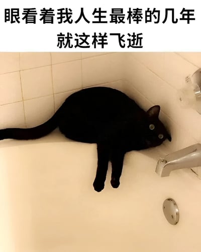 图片上方有一行黑色文字："眼看着我人生最棒的几年就这样飞逝"。下方是一只全身黑色的猫，它蜷缩在白色浴缸的角落，头靠在水龙头附近，眼神显得有些忧郁和无奈，仿佛在哀叹时光流逝。整个画面通过猫的姿态和文字内容形成呼应，表达了对美好年华逝去的感慨。