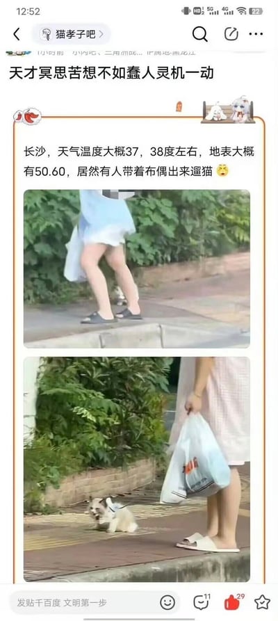 这是一张百度贴吧的帖子截图，属于上下对比的视觉错位类内容。帖子标题为「天才冥思苦想不如蠢人灵机一动」，正文称长沙气温达37-38度、地表温度可达50-60度，上半部分的远景图会让观看者误以为穿蓝裙的路人抱着布偶玩偶遛猫，下半部分的近景图揭晓真相：实际是一只布偶猫被拴着蹲在拎着塑料袋的路人脚边，拍摄角度造成了路人携带布偶的错觉，内容趣味十足。