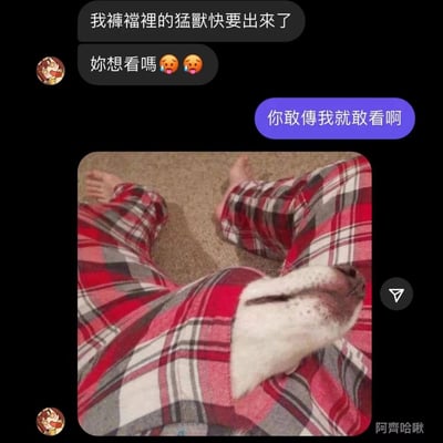这是一张幽默梗图，上方是模拟聊天对话界面，下方是一张图片。对话中，一方说"我裤裆里的猛兽快要出来了"并问"你想看吗😭😭"，另一方回应"你敢传我就敢看啊"。图片内容是一只狗的头从红色格子睡衣裤中探出来，配合对话形成双关笑话，用"猛兽"来比喻可爱的狗狗，制造反差萌效果。