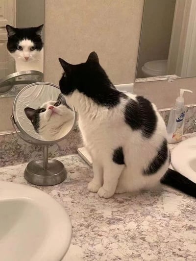 一只黑白相间的奶牛猫正坐在浴室的大理石台面上，专注地凝视着面前的圆形小镜子。猫咪仰头的姿势让镜子里映出它带着粉色鼻头的可爱脸庞，背景中的大镜子则反射出它的侧脸轮廓和浴室的部分环境。台面上还放着一瓶Dial品牌的洗手液，整体场景温馨又充满生活气息，展现了宠物好奇探索自身倒影的萌趣瞬间。