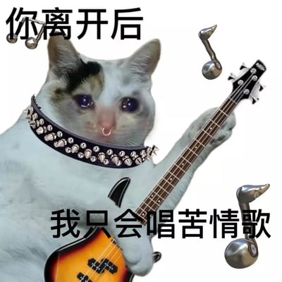这张梗图展示了经典‘哭泣猫’被P成朋克乐队造型，抱着电吉他，戴着铆钉项圈和鼻钉，表情悲伤地流着泪。配文“你离开后 我只会唱苦情歌”，极富反差萌和自嘲幽默感。画面中还有夸张的金属音符强化了“情歌演唱”主题，经常被用作表达分手后悲伤或自嘲emotion（emo）情绪。这里“苦情歌”是网络化自嘲分手后的情感低谷，同时猫咪的造型搞笑又带有朋克二次元风格。