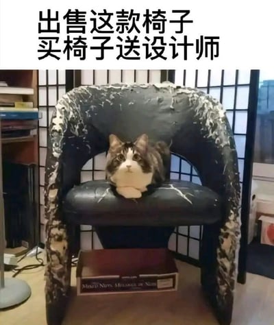 图片展示了一把黑色皮质椅子，其表面皮革大面积剥落、开裂，显得十分破旧。一只棕白相间的猫正慵懒地趴在椅子座位上，眼神平静，与破损的椅子形成有趣对比。图片上方配有醒目文字“出售这款椅子 买椅子送设计师”，通过夸张的促销话术调侃椅子质量差，暗示设计师水平不佳，买椅子附赠设计师作为幽默噱头，整体营造出轻松搞笑的氛围。