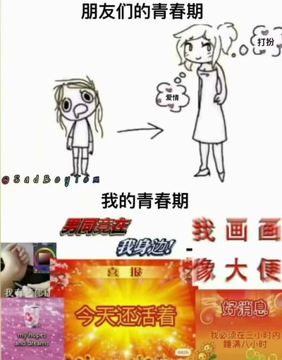 这是一张上下结构的对比类搞笑梗图，上半部分标注标题「朋友们的青春期」，呈现了懵懂的简笔小女孩成长为在意打扮、向往爱情的成熟少女的过程，对应大众认知里青春期的普遍状态；下半部分标注标题「我的青春期」，拼接了多个网络热门梗图元素，包括「男同竟在我身边」、吐槽画技的「我画画像大便」、调侃创作焦虑的「我有艺郁症」、写着「今天还活着」的喜报、指代希望破灭的「my hopes and dreams」破碎水杯、调侃作息混乱的「好消息：我必须在三小时内睡满八小时」，用夸张的内容展现自己的青春期充满吐槽、精神状态不稳定的另类状态，和上半部分形成强烈反差，充满自嘲的搞笑效果。