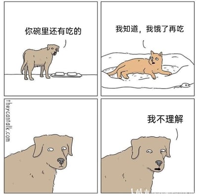 这是一幅四格连环卡通漫画，以拟人化的动物对话展现猫狗进食习惯的差异，制造出幽默效果。第一格中，一只狗狗站在装有食物的食盘旁，对着猫咪提醒它碗里还有吃的；第二格中，猫咪躺在自己的窝里，一脸淡定地回应，称自己知道，要等饿了再吃；第三格是狗狗的特写，它露出困惑、不敢置信的表情；第四格中狗狗直白地说出“我不理解”，生动表现出狗狗完全无法接受猫咪“留着食物不立刻吃”的行为，契合现实中狗狗通常会立刻吃完所有食物、而猫咪更倾向于少量多次进食的习性差异，让养宠人能产生共鸣，充满趣味。