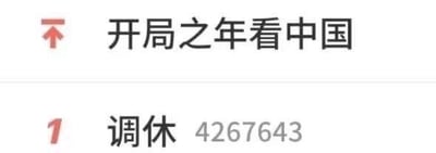 这是一张网页UI截图，整体为纯文字内容。上方是标题“开局之年看中国”，下方是热度排行的第一名条目，内容为“1 调休 4267643”，其中4267643应为该话题的热度数值，极高的数值体现出“调休”在相关话题中拥有压倒性的关注度，反映出大众对调休这一假期安排的高度讨论热情，常被用来调侃或表达对调休的复杂情绪。