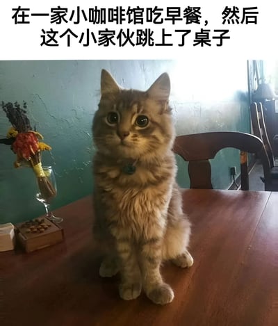 图片展示了一只毛茸茸的虎斑猫坐在咖啡馆的木质餐桌上，猫咪有着大大的圆眼睛，脖子上戴着项圈，正抬头看向前方。背景是绿色的墙壁，桌上左侧有一个装有干花的玻璃杯和一些小物件。图片上方配有文字：'在一家小咖啡馆吃早餐，然后这个小家伙跳上了桌子'，描述了在咖啡馆用餐时猫咪跳上桌子的可爱场景。