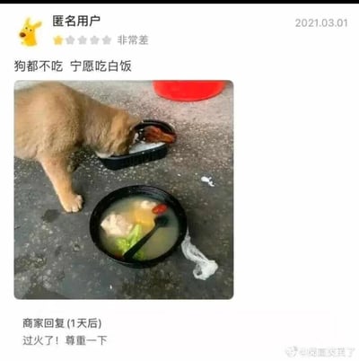 这是一张来自外卖平台的差评截图，2021年3月1日匿名用户给出一星差评，评价内容为“狗都不吃 宁愿吃白饭”，并附上实拍图：一只土狗正低头专注吃外卖盒里的白饭，完全无视旁边配有汤品的主餐，以此讽刺外卖餐品难吃。商家在1天后回复“过火了！尊重一下”，回复显得无奈又好笑，整体内容用极具画面感的方式吐槽外卖质量，形成搞笑的反差效果。