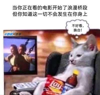 这是一张经过P图改编的单身自嘲梗图，画面中一只拟人化的猫咪瘫坐在沙发上，手持遥控器，身旁摆放着乐事薯片与百事可乐，正看着电视里《泰坦尼克号》经典的船头浪漫桥段。图上方配有文字：“当你正在看的电影开始了浪漫桥段但你知道这一切不会发生在你身上”，猫咪的脑内对白气泡写着“不好看，换台！”，用幽默的方式调侃单身人士看到影视中浪漫情节时，因自己没有同款经历而产生的酸涩、抵触情绪，精准贴合当代单身年轻人的自嘲心态，引发共鸣。