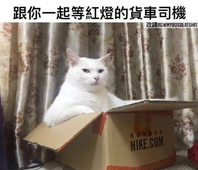 这张梗图中，一只表情冷漠淡然的白色猫咪，将两只前爪搭在印有NIKE.COM字样的纸箱边缘，姿态神似坐在货车驾驶室里的司机。图上方配有文字“跟你一起等红灯的货车司机”，把纸箱调侃成货车驾驶室，猫咪的神态和动作完美还原了货车司机在路边等红灯时的慵懒、无聊状态，通过宠物模仿人类场景的反差感制造搞笑效果。