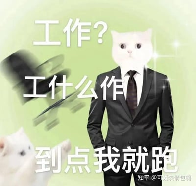 图片背景为浅绿色，中央是一个穿着黑色西装、系着领带的人物形象，但其头部被替换成一只表情呆萌的白色猫咪头。人物双手插兜，姿态潇洒。图片上覆盖有三行醒目的白色文字，从上到下分别是“工作？”“工什么作”“到点我就跑”，整体通过猫咪头与西装的反差萌，幽默地表达了对工作的调侃和渴望准时下班的轻松态度。