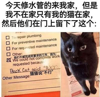 图片上方为文字描述：'今天修水管的来我家，但是我不在家只有我的猫在家，然后他们在门上留下了这个：'。下方左侧是一张维修单照片，表单中'我们不能完成所要求的工作，因为'一栏手写着'Black Cat said "NO"'，并配有中文翻译'猫猫说"不行"'。右侧是一只黑猫的照片，它正直视镜头，表情看起来有些警惕。整体内容通过幽默的方式展现了维修师傅因主人不在家，以猫的名义留下无法完成工作的有趣场景。