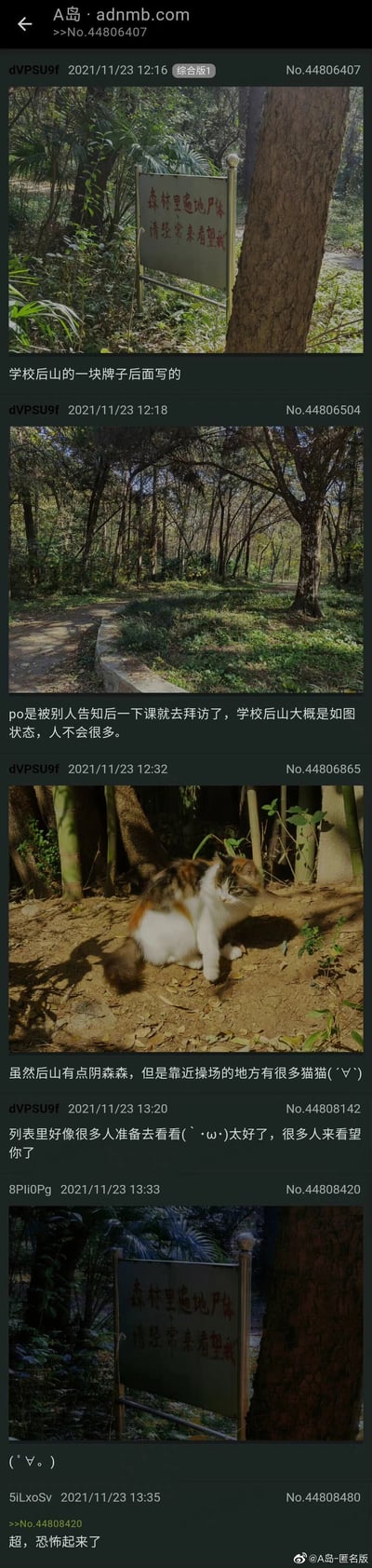 这是A岛匿名版的一则社区帖子，由用户dVPSU9f在2021年11月23日发布。楼主先是展示了学校后山一块牌子背面用红漆书写的诡异文字“森林里遍地尸体 请经常来看望我”，随后分享了后山人少、略显阴森的环境照片，又晒出了后山靠近操场处的一只三色长毛猫，用可爱的猫咪缓和了之前的诡异氛围。之后楼主看到很多网友表示想去看，调侃“很多人来看望你了”，另有网友回复相关内容，形成了从诡异到温馨的反差感，是社区里的趣味生活分享内容。