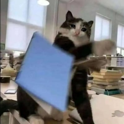 这张梗图是一只被P上了“哭哭脸”表情的猫正在用力把一本蓝色的书甩出去，背景像是学校或办公室的环境，桌上堆着很多书。猫咪的表情十分委屈、无助，动作配合表情表现出在学习或工作崩溃时想要摆烂、发泄情绪的状态，非常适合用来吐槽努力无果、情绪爆炸的情况。

双关/暗示说明：哭哭猫表情和扔书的动作结合，隐喻“再也不学了”、“崩溃摆烂”，是典型的网络二次创作情绪梗。