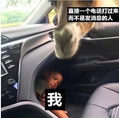 图片展示了一辆汽车的内部场景，一名小孩蜷缩在副驾驶的脚垫处，表情显得无奈又略带惊恐。一只马的头部从车窗上方伸入车内，仿佛正在靠近小孩。图片上方配有文字“直接一个电话打过来而不是发消息的人”，小孩身上则标注了“我”的字样。通过将突然打电话的人比喻为闯入的马，幽默地表达了人们对于直接来电而非发消息这种沟通方式的不适与抗拒心理。