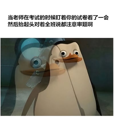 图片上方配有文字描述考试场景：'当老师在考试的时候盯着你的试卷看了一会然后抬起头对着全班说都注意审题啊'，下方是动画电影《马达加斯加》中的企鹅角色Skipper的截图，企鹅瞪大双眼，嘴巴微张，表情看起来既惊讶又紧张，生动地表现了学生在被老师特别关注后的内心慌乱与尴尬。这张梗图通过幽默的方式再现了学生时代常见的考试经历。