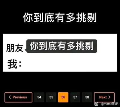 这是一张用于调侃“挑剔”状态的图文混排meme图。图的顶部是醒目的大标题“你到底有多挑剔”，下方是模拟的对话场景：朋友向“我”提问“你到底有多挑剔”，而“我”没有用文字回应，而是用底部的网页分页导航栏来作答——导航栏显示当前处于第56页，左右还有54、55、57、58等更多页码，同时配有“Previous”和“Next”按钮，以此来具象化地表达自己需要筛选大量内容才能找到满意的选项，用这种常见的网页UI元素制造幽默效果，生动展现了“极度挑剔”的状态。