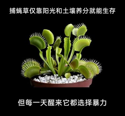 暂无描述