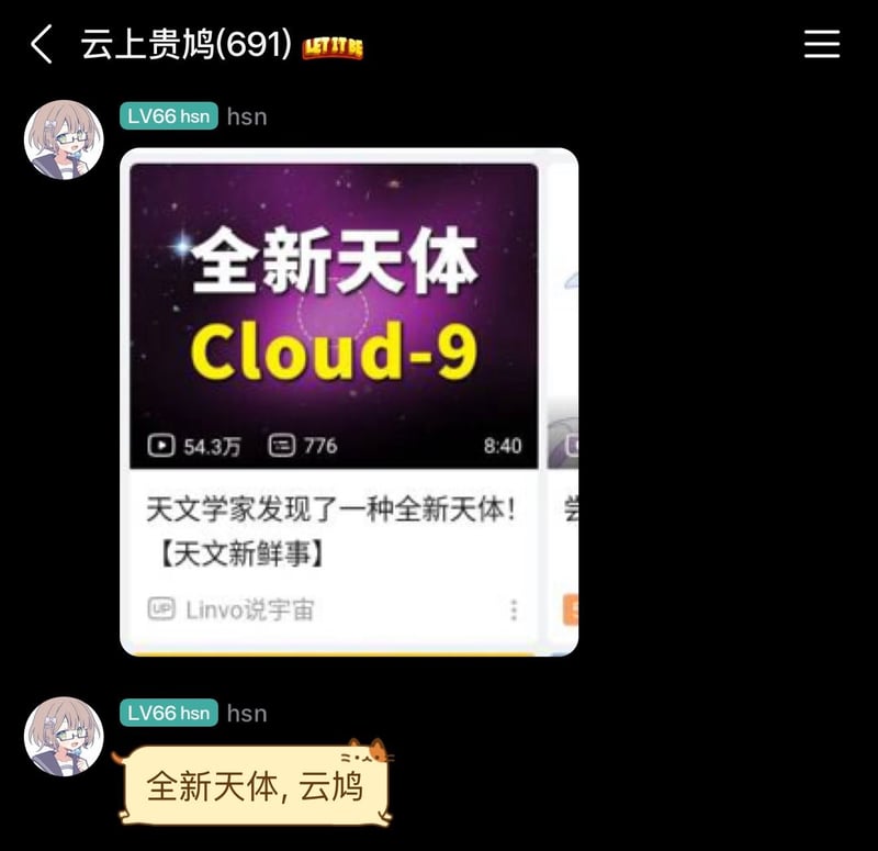 云上贵鸠(691)聊天群用户