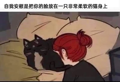这是一张卡通风格的静态图，画面呈现出充满治愈感的温馨场景：红头发扎丸子头的卡通人物侧躺在床上，将脸埋在一只黑白花色的猫咪身上；猫咪闭着眼睛，神态放松地趴在床上，看起来柔软温顺。图片上方配有文字“自我安慰是把你的脸放在一只非常柔软的猫身上”，直白地传递出猫咪柔软的触感能给人带来情绪上的安抚与慰藉，精准戳中喜爱猫咪人群的共情点，展现了宠物在情绪安抚方面的独特价值，整体氛围温暖治愈。