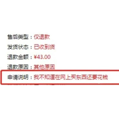 这是一张电商平台的售后退款申请界面截图，界面中显示售后类型为「仅退款」，发货状态为「已收到货」，退款金额为43元，退款原因标注为「其他原因」，而申请说明栏里的内容格外离谱：「我不知道在网上买东西还要花钱」。这种明显是想白嫖商品的不合理退款理由，充满了荒诞感，让人觉得又好气又好笑，常被用来吐槽网购中遇到的奇葩买家。