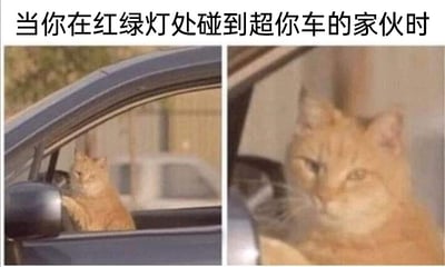 这是一张左右对比的多图拼接搞笑梗图，上方配有文字“当你在红绿灯处碰到超你车的家伙时”。图中用橘猫的状态拟人化表现车主的情绪：左侧图里，橘猫坐在车内驾驶位一侧，前爪搭在车窗上，表情不爽地注视着旁边，仿佛刚被旁边车辆超车；右侧图是这只橘猫的近距离特写，它眼神带着明显的不满和审视，完美还原了车主在红绿灯处被超车时，那种又气又无奈、死死盯着对方的心情。通过宠物拟人化的方式，将日常开车的小情绪用幽默的方式呈现，容易引发有开车经历的网友的共鸣。