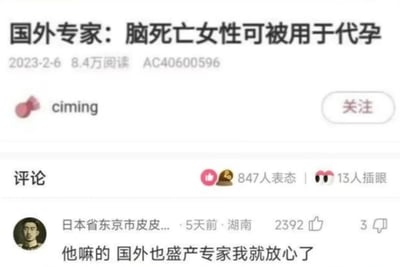 这是一张社交媒体截图，展示了一篇标题为“国外专家：脑死亡女性可被用于代孕”的文章。文章发布于2023年2月6日，已有8.4万阅读量。发布者用户名为“ciming”，头像为粉色蝴蝶结形状。截图下方显示了评论区，其中一条高赞评论内容为“他嘛的 国外也盛产专家我就放心了”，获得了2392个点赞和3个踩。评论区上方显示共有847人表态，13人插眼。