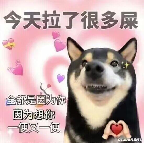 黑柴犬