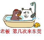 老板第几次来东莞洗澡梗图