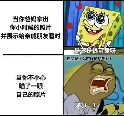 这是一张四格漫画梗图，通过海绵宝宝和派大星的表情对比，幽默展现了年轻人面对父母展示童年照片时的尴尬场景。上左格文字描述场景：'当你爸妈拿出你小时候的照片并展示给亲戚朋友看时'；上右格是海绵宝宝开心地说'是不是很可爱呀'，代表父母视角；下左格文字'当你不小心瞄了一眼自己的照片'；下右格是派大星惊恐大喊'不!!'，生动表现了当事人的崩溃反应。
