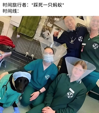 图片上方配有文字“时间旅行者：*踩死一只蚂蚁* 时间线：”，下方是一张真人照片。照片中几位穿着绿色或深蓝色兽医制服的人员与一只戴着手术帽和听诊器的黑色狗狗，全员都戴着透明的伊丽莎白圈（宠物术后防舔咬的锥形项圈），面带微笑地在类似兽医诊所的环境中摆姿势拍照。图片通过蝴蝶效应的幽默手法，暗示时间旅行者踩死蚂蚁这一微小行为，导致时间线发生巨变，让原本给宠物戴的伊丽莎白圈变成了人类也需要佩戴的物品，营造出荒诞搞笑的效果。