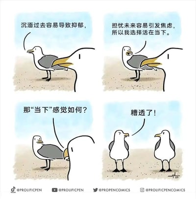 四格连环漫画描绘了两只海鸥的对话。第一格中海鸥甲说“沉湎过去容易导致抑郁，”；第二格继续道“担忧未来容易引发焦虑，所以我选择活在当下。”；第三格海鸥乙询问“那‘当下’感觉如何？”；第四格海鸥甲无奈回答“糟透了！”。通过看似积极的“活在当下”哲学与实际糟糕体验的反差制造幽默效果。
