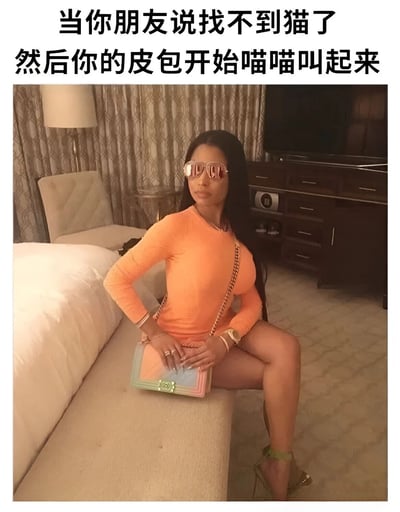 图片上方配有文字“当你朋友说找不到猫了 然后你的皮包开始喵喵叫起来”，下方是一位穿着橙色上衣的女性坐在沙发上，手持一个彩色皮包，背景是带有窗帘和电视柜的室内场景。整体营造了一种幽默情景，暗示朋友找不到的猫可能藏在了皮包里，通过皮包发出喵喵声来制造笑点。