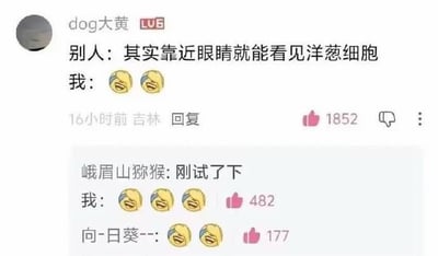 这是一张哔哩哔哩平台的评论区截图，用户“dog大黄”发布评论称，他人告知“靠近眼睛就能看见洋葱细胞”，自己仅回复了两个笑到流泪的黄豆表情；随后有网友结合峨眉山猕猴有抢夺游客物品的习性玩梗，回复“峨眉山猕猴: 刚试了下”，暗指猕猴抢到洋葱后凑到眼前，被洋葱辣到，刚好呼应看洋葱细胞的说法，“dog大黄”看到这条回复后又发了三个同款笑到流泪的表情，另有其他网友也跟着发同款表情，表达觉得该梗十分好笑的心情。