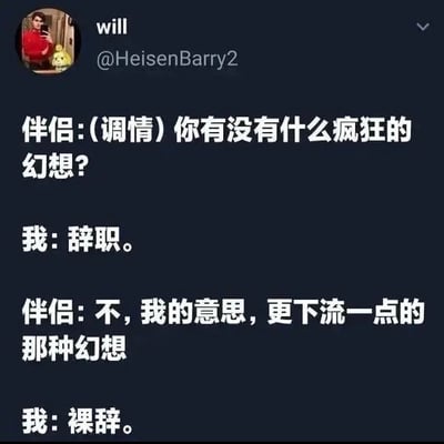 这是一张社交媒体截图，展示了一段幽默对话。伴侣以调情的语气询问对方是否有疯狂的幻想，对方回答“辞职”；伴侣进一步说明想要“更下流一点的那种幻想”，对方则巧妙回应“裸辞”。通过“辞职”与“裸辞”的谐音双关，调侃了职场人士对摆脱工作压力的强烈渴望，将浪漫情境下的预期回答转向了对工作的吐槽，形成反差萌的搞笑效果。