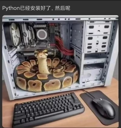 这是一张针对编程初学者的趣味双关梗图，图片上方配有文字“Python已经安装好了，然后呢”，画面主体是打开的电脑机箱，内部被P上了一条盘卧的球蟒——利用“Python”一词既是编程语言名称，又是蟒蛇英文名称的双关含义，制造出荒诞又有趣的效果，调侃了很多编程新手在成功安装Python编程语言后，陷入不知道下一步该做什么的迷茫状态，同时用这种具象化的方式玩了文字梗，在程序员圈子里很有共鸣。