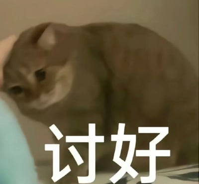图片中是一只棕色的猫咪，正被一只手从左侧轻轻摸着头。猫咪表情淡定，身体微微蜷缩，背景是朴素的浅色墙面，下方是浅蓝色的平面（可能是沙发或床）。图片底部中央有醒目的白色文字“讨好”，整体场景温馨，展现了日常宠物互动的瞬间。